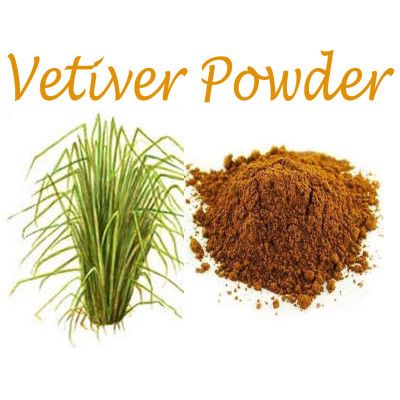 Vetti ver powder 100gm | Khus Powder | Vetiver Podi Lavancha Pudi 